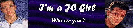 nsyncgirl.gif (83193 bytes)
